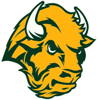 North Dakota State Bison 2005-2011 Alternate Logo DIY iron on transfer (heat transfer)